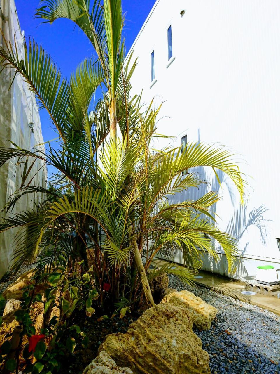 Premium Cottage Comfort Okinawa Onna Exteriér fotografie